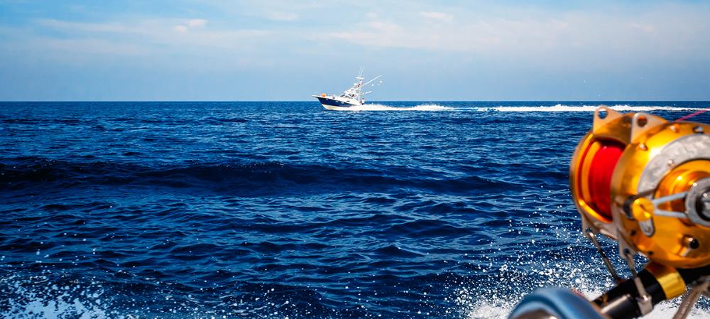 Prime Fishing Season